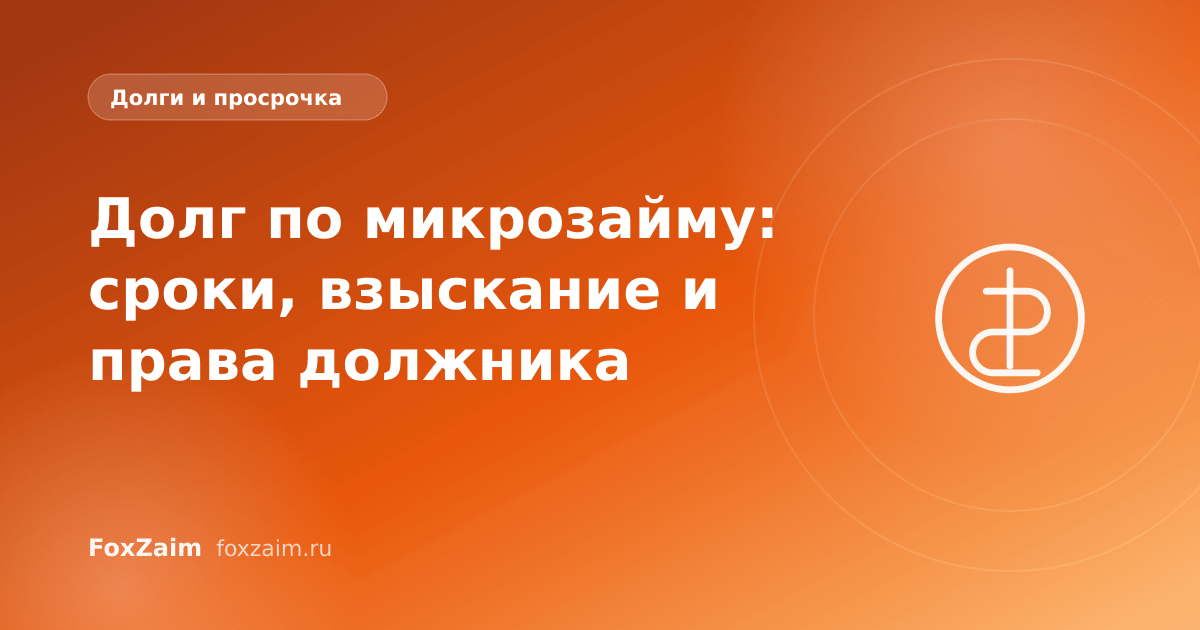 Долг по микрозайму: сроки, взыскание и права должника